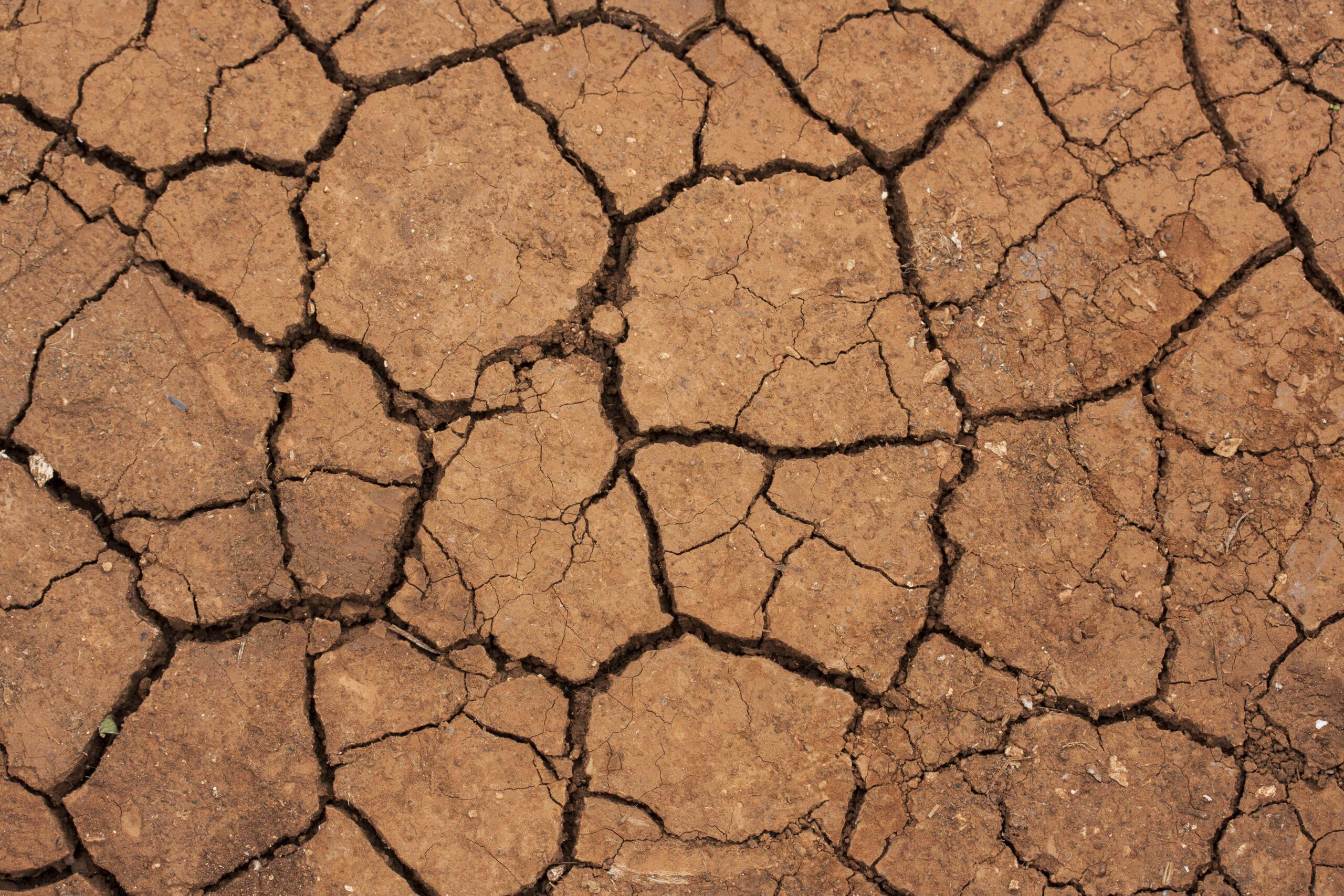 Crise hídrica no Brasil: como ela afeta a atividade agrícola no país?